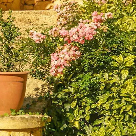 Le Croix Du Notaire Holiday home *