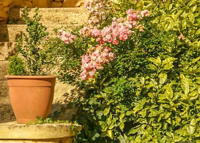 Le Croix Du Notaire Nyaraló *